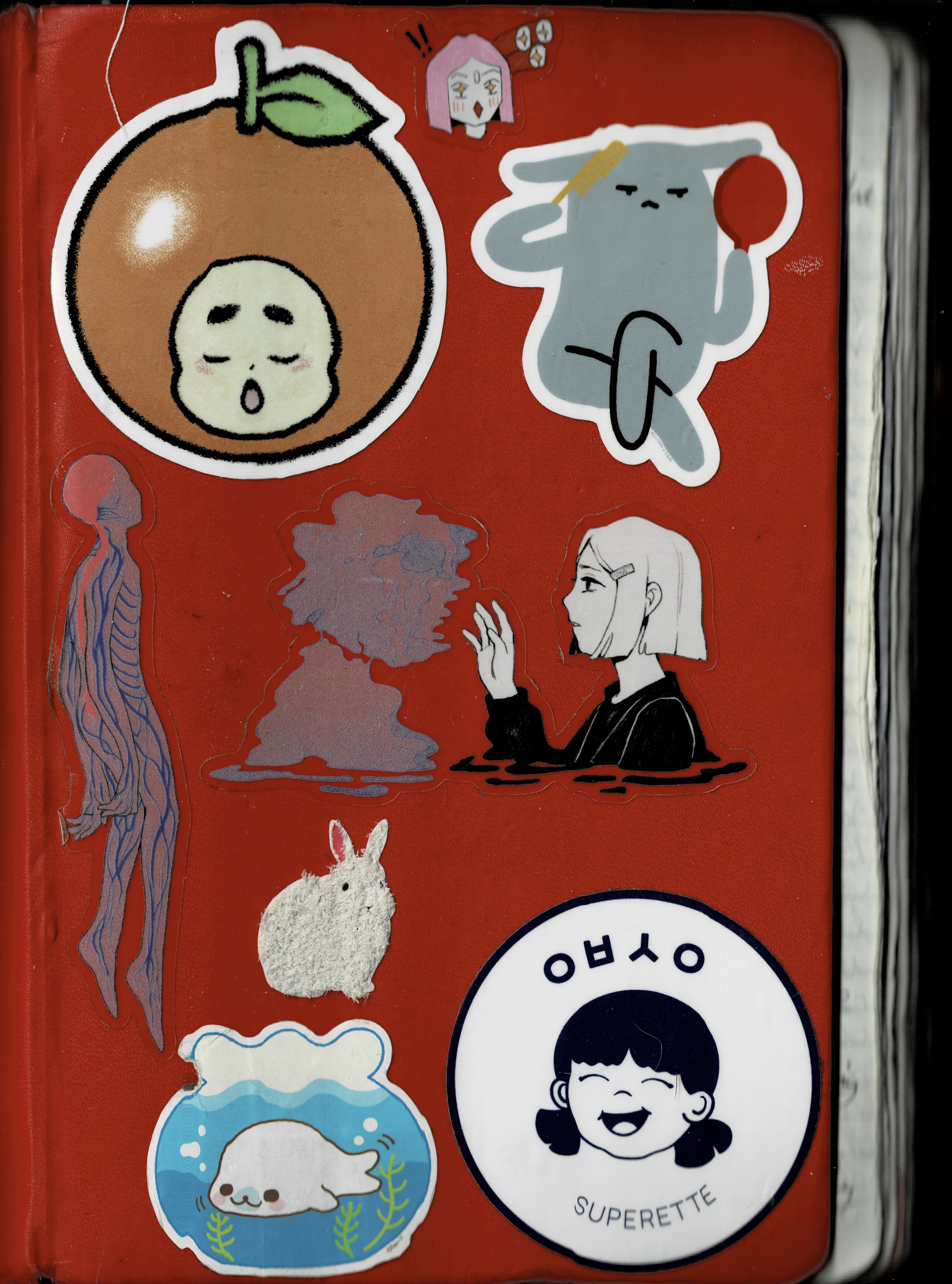 my travel scrapbook